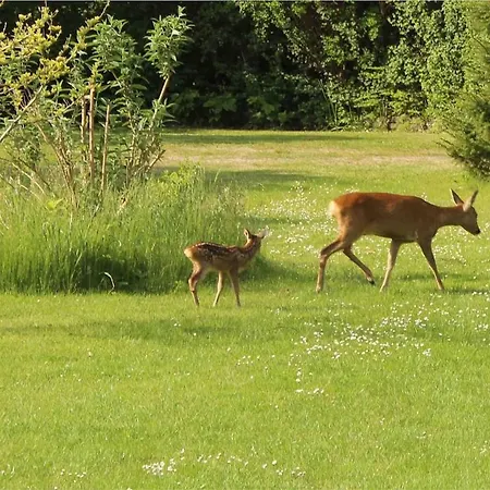 Near The Sea And Nature, 1 Hour From Copenhagen Ferienhaus